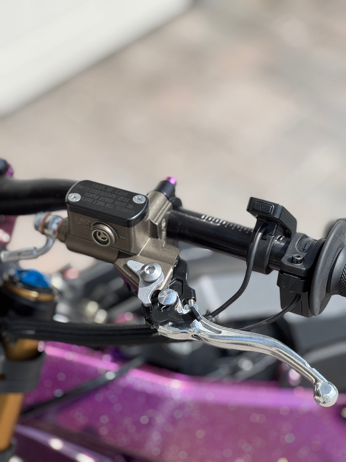 Surron Lbx/Eride pro moto brake kit