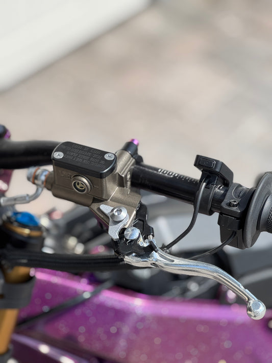 Surron Lbx/Eride pro moto brake kit
